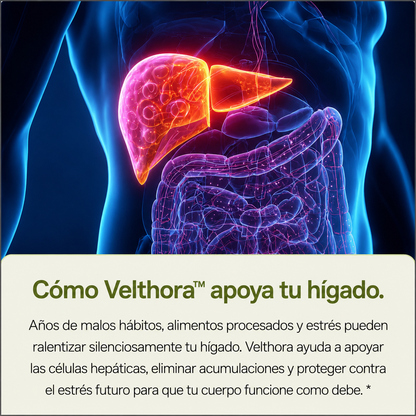 Velthora™ - Cardo Mariano